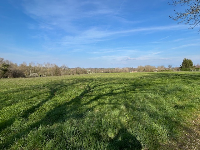 photo3